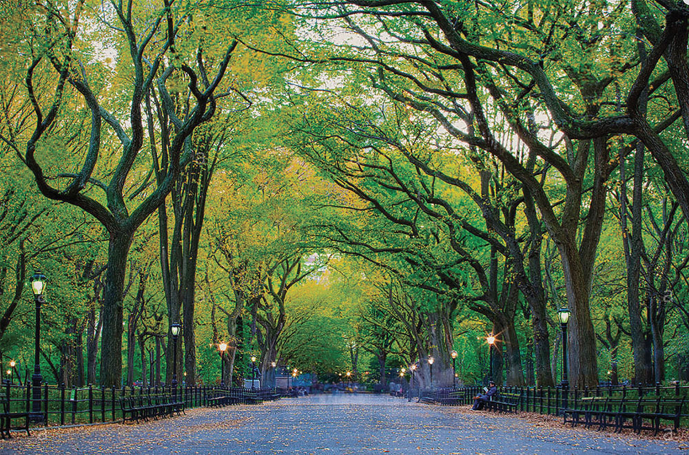 Upper East Side Apartments For Sale Central Park The Mall